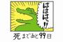 100日後に死ぬワニってなんで人気出たんや？