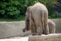 【悲報】ドイツの動物園さん、とんでもないことを言い出すｗｗｗｗｗｗｗ