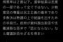 【朗報】立憲・石垣のりこ議員、蓮舫先輩を超える逸材になりそう