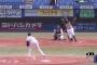 日本ハム・万波中正の規格外のバッティングwwwwww