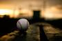 プロ野球、ボールが飛び過ぎ？ 今季は1試合当たり2.7本塁打