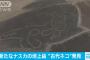 【画像】新たなナスカの地上絵が発見される！！