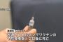 バ韓国警察「ワクチン接種後に死亡した高校生、アレは自殺だったニダ!!」