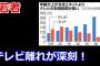 若者 「紅白見ない。ガキ使見ない。格闘技見ない」 一体何を見てるの？