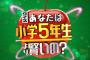 【悲報】しょこたん、300万円挑戦せず！