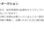 【聖人】松井珠理奈さんが私物をチャリティーオークションで販売し、集金分を寄付する模様