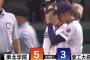 【悲報】甲子園、選手にコロナ陽性がでてガチで逝きそう