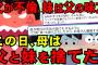 【2ch伝説スレ】「わかった、もういいのよ」不倫を繰り返す父と、父に味方する妹に絶対にキレない母がキレた結果…母の復讐がヤバすぎた【ゆっくり解説】