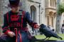 イギリスには「ロンドンからカラスが消えたら王室が滅ぶ」と言う言い伝えがある