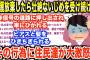 【2chキチガイスレ】夫・親族から「おばの介護をしろ」と無理矢理押しつけられる→放棄した結果、親族からいやがらせが始まり復讐を決意する【ゆっくり解説】