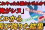 【2chスレ】部長「問題あるか？これやったらしぬんか？」 → 眼の前で飛び降りる【ゆっくり解説】