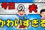 【2ch面白いスレ/ほのぼのスレ】今日の夫　可愛すぎる3【ゆっくり解説】