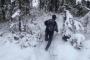 【画像】ウチのイッヌ、大雪で大はしゃぎしてしまう…