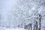 【緊急速報】気象庁「東京緊急大雪発表！！！」