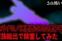 【2ch怖いスレ】ヤバイモノに憑依された息子を家族総出で除霊してみた【ゆっくり解説】