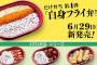 【朗報】白身魚フライだけ弁当（216円）、爆誕！！！