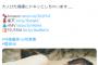 櫻坂46守屋麗奈、ビキニ水着姿の画像が刺激的すぎるww1st写真集の美バスト＆大人びた視線カットにファン大興奮！