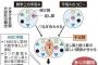 【朗報】数学者「ABC予想の解き方を分かり易い図にしたよ」