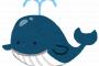 【悲報】日本をいじめて追い出した「IWC」（国際捕鯨委員会）さん、わずか3年で”破産”の危機ｗｗｗｗｗｗｗｗ