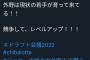 ぺこぱ松陰寺こと松井勇太さんのドラフト感想、ポジファンの鑑