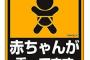 車「赤ちゃんが乗っています❤」←だから何？ 	