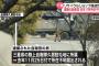 狛江市強盗殺人事件発覚のきっかけとなった自衛官、去年11月から所在不明に…三重県内の陸自駐屯地に所属！
