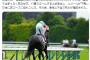 【動画あり】日本ダービー中に競走馬が急死・・・・・・【2番人気スキルヴィング】