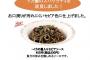 【朗報】サイゼリヤ「イカ墨のスパゲッティのイカ墨をお口周りが汚れにくいように改良しました」