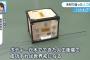 日本人がまた世界初の快挙！木造の人工衛星を開発wwwwww