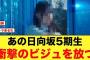 あの日向坂5期生、ビジュが強すぎておひさま衝撃を受ける【日向坂46】
