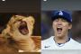大谷翔平「由伸の叫んでる顔、赤ちゃんライオンみたいやな…」
