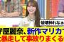 【地上波最速プレイ】守屋麗奈、Switch２新作マリカーで大暴走www
