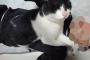 【ねこ画像】モザイクさんとごろごろ、ベッドでぐっすり、へそ天？ ほか【再】