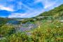 和歌山県←なに思い浮かべた？