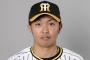 阪神タイガース、島田海吏が昇格して勝率10割