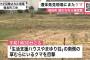 新聞配達員を食い殺したヒグマ、事件現場にまた現れる