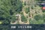 「もしミサイルが発射されたら」静岡県下田市で弾道ミサイル発射に備えた住民避難訓練を実施！