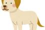 義兄嫁から飼っている小型犬を引き取ってくれないかと打診があった。3人目が生まれて、犬の世話まで手が回らないそうで今はウトメに預けているらしく…