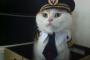 【ねこ画像】ねこのおまわりさん？、こんなところにっ！ ほか【再】