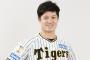 坂本誠志郎さん、19日からのスタメン起用で6勝1敗防御率1.26wwwwwwwwww