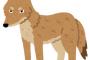 ママ友が犬を飼うことになって、あちこちのペットショップを見て回ってるらしい。 どの犬種で探してるのか聞いてみたら「とにかくミックス犬」らしく...。