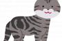【愛誤】猫は好きだけどペットショップ反対派の人は嫌い。特にAという里親活動家に会ってから余計嫌いになった