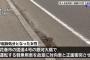 【悲報】日本、終わってた…運転中故意にセンターラインをはみ出して対向車にぶつけた女性が不起訴にｗｗｗｗｗｗｗｗｗｗｗｗｗ