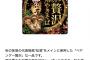 【画像】ペヤングが高級焼きそばを発売。お前らが予想する値段の2.5倍高い