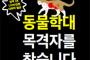 【韓国】ソウルで野良猫の不審死相次ぐ　猫の死体が例年の2倍近くに増加