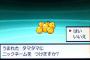 人生ではじめて出会った色違いポケモンがお前の来世