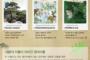韓国が松の英名「Japanese red pine」を「Korean red pine」に変更しろと主張しリスト作成