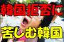 韓国が日本の経済力に追い付くには100年かかる？韓国ネット　生活水準はもう追い越した　国の規模が違うから無理