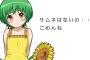 【悲報】ひまわり動画、秋アニメの担当決めで大荒れｗｗｗｗｗｗｗｗｗｗｗｗｗｗｗ