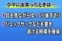 【画像】クマに出会ったときは…どうするの！？